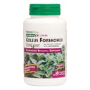 NaturesPlus Herbal Actives Coleus Forskohlii - 60 Vegetarian Capsules - Gluten Free - 60 Hizmetler