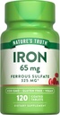 Nature's Truth Iron Supplement | 65 mg | 120 Tablet | 325 mg Ferrous Sulfate | Non-GMO & Gluten Free Pills