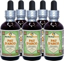 PAU d'arco (Tabebuia Impetiginosa) Glycerite, kuru Bark Alkol Özgür Sıvı Ekstraksiyon (Brand Name: HerbalTerra, Proudly Made in USA) 5x2 fl.oz (5x60 ml)