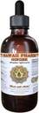 Hawaii Pharm Ginger Sıvı Ekstraksiyon, Organik Ginger (Zingiber officinale) Tincture Supplement 2 oz