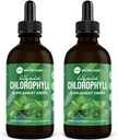 360 Beslenme klorophyll Liquid Drops with Peppermint Oil, GF & Vegan Body Internal Deodorant Supplement, Supports Gut Health, Digestion, Energy, Radiant Skin, Fast Abxia (4 Fl Oz (2 Count)