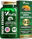Wildcrated Irish Sea Moss Κάψουλες με Burdock Root & Bladderwrack - ΗΠΑ Made Sea Moss Advanced for Hair, Skin, Immune & Energy Levels Support - SeaMoss Χάπια - 60 Vegan Κάψουλες
