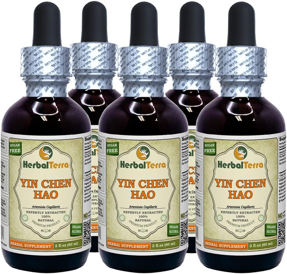 Yin Chen Hao (Artemisia Capillaris) Tincture, Organik Kuru Herb Sıvı Ekstraksiyon (Brand Name: HerbalTerra, Proudly Made in USA) 5x2 fl.oz (5x60 ml)