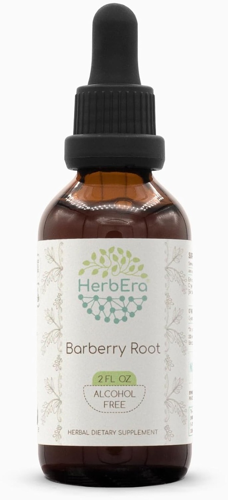 Barberry Root B60 Alkol-Free Herbal Extract Tincture, Tempd Liquid Drops Natural Barberry (Berberis Vulgaris) (2 oz)