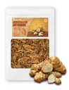 (8oz) Farmer Queen Ψημένη Ιερουσαλήμ Artichoke Helianthus Tuberosus πλούσια ινουλίνη Πολυφαινόλη Διαιτητικό Φυλή 볶은 돼지감자