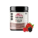 TERRA Origin Healthy Gut Powder (Berry Flavor) 