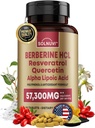Premium Berberine Supplement with Resveratrol Quercetin Alpha Lipoic Acid - 50:1 Berberine HCl Kompleksi Antioksis, Polyols, Vitality Boost - 90 Vegan Tablet, Non-GMO, Gluten-Free-GMO, Gluten-Free