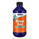 Şimdi Gıdalar Tamamlıyor, Silver Sol 10 PPM Elemental Silver ve Deionized Water, Liquid, 8-Ounce