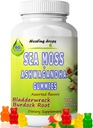 Sea Moss Gummies Ashwagandha with Bladderwrack Burdock Root, alkaline Keto Vegan Non-GMO Diyet, Süt ve Gluten Free - by healing Drops