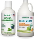 Land Art Aloe Vera Drinkable Gel - Orange Tangerine Flavored - Cold-Processed - Organik Fresh Leaves - 64floz + Sıvı Chlorophyll Mint Flavored - Cold Non-GMO Alfalfa - 16floz