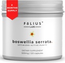 Boswellia Serrata Extract Supplement 500 mg - Sağlıklı Ortak Destek, Kas Yardımı - 65 Boswellic Acids - Hint Olibanum /Frankincense, 120 Caps /