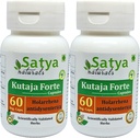 Kutaja Forte Capsules 500 mg. 60 Veg. Capsule | Kutaja (Holarrhena Antidysenterica) Erkekler ve kadınlar için Kapsüller | Ayurvedic Herbal Supplement / R kaçtılar | 10:1 Forte (2 Şişeler 60 Capsules)