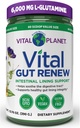 Vital Planet - Vital Gut Renew Powder Supplement for Leaky Gut Repair with L-Glutamine, Marshmallow and Ginger Root, DGL Licorice Root and Organic Aloe Vera, L Glutamine 6000mg 13,76 oz