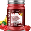 Irish Sea Moss Gel Raw - Wildcraft Superfood Seamoss Gel - Φράουλα Μπανάνα Γεύση, Βιταμίνη και Ορυκτό-Πλούσιο από την Πριστίνα Caribbean Waters, Immune and Digestive Health Support - 10 oz.