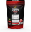 Fadogia Agrestis Extract Powder (Maximum Strength) | Supports Athletic Performance, Strength, Drive | Organic, Non GMO, Third Party Tested, Gluten Free Supplement | 100g