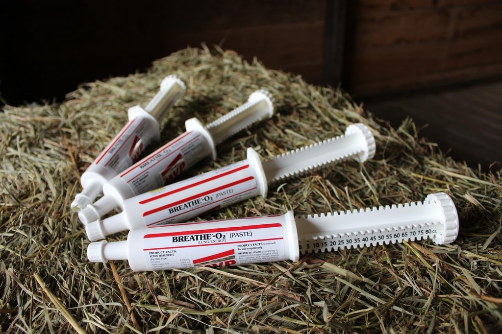 Breathe O'2 4 -Pack (8 doz) Pre-Race Paste to Support Lung/Airway Function in Horses