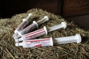 Breathe O'2 4 -Pack (8 doz) Pre-Race Paste to Support Lung/Airway Function in Horses
