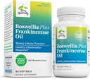 Terry Natural Boswellia Plus Frankincense Oil - Ortak Destek Hareketliliği ve Ortak Konforu Desteklemek - Boswellia & Frankincense Oil ile Hücre Sağlığı Desteklemek - 60 Softgels
