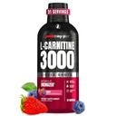 PROSUPPS L-Carnitine Liquid 3000, Simulant-free Liquid Shots για Άνδρες & Γυναίκες - Καθαρίστε το ποτό προπόνησης για την ενέργεια, την απόδοση και την αποκατάσταση των μυών - Χωρίς ζάχαρη, χωρίς υδατάνθρακες - 31 εξυπηρετούν, μούρο