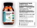 DR WAKDE'S® Phyllanthus Capsules (Bhumi-amla/Bhumyamalaki) I 100% Herbal I 60 Veggie Capsules I Ayurvedic Supplement