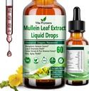 Mullein Drops for Lungs, Βιολογικό εκχύλισμα φύλλων Mullein για Lung Detox w. Chlorophyl Elderberry Oil Resveratrol Mullein Tintcture Alcohol Free, Original Flavor, 2 f Fl/Oz