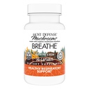 Host Defense Breathe* Capsules - Immune & Respiratory Support Mushroom Supplement - Herbal Lung Health Supplement with Chaga, Reishi & Cordyceps - 30 Capsules (15 Servisler)*