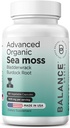Organic Irish Sea Moss, Bladderwrack & Burdock Root Supplement 1405mg, 60 Veg Capsules - Immune Booster, Gut Health, Skin Detox & Joint Support (60 Count (Pack of 1))