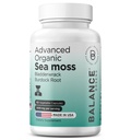 Organik İrlandalı Deniz Moss, Bladderwrack & Burdock Root Supplement 1405mg, 60 Veg Capsules - Immune ATM, Gut Health, Skin Detox & Ortak Destek (60 Kont)