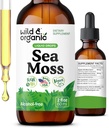 Wild & Organic Sea Moss Liquid Drops - Immune Support - İrlandalı Deniz Moss ve Bladderwrack Tincture - Multimineral Chondrus Crispus Tamam - Vegan, Sugar & Alkol Free - 2 fl ozzz