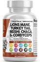 Temiz Nutraceuticals Lions Mane 20in1 Mushroom Supplement with Turkey Tail Reishi Cordyceps Chaga Maitake Meshima Poria Cocos Shiitake Oyster Porcini Enoki - 1 Pack