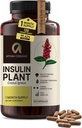 Premium Quality Costus Igneus (Insulin Plant) Capsules - Easy to Swallow 120 Veggie Capsules (1 Month Supply) - Made in The USA - Including Complete Health Support Program
