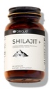 Blisque – Pure Himalayan Organik Shilajit Wear Extract Capsules | Authentic and Natural | Altın Grade A | Contains Fulvic Acid and Trace Minerals | 90 Capsules