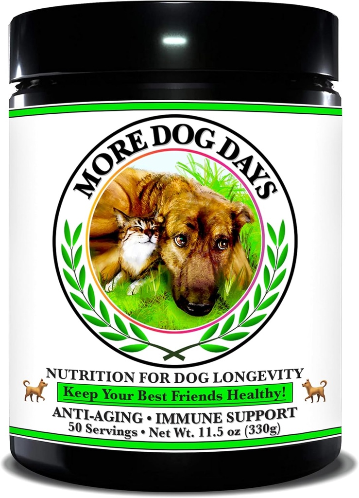 Anti-Aging & Immune Support | Organik, İnsan-Grade Malzemeler | Tıbbi Bitkiler & Mushroom Ekstraksiyonlar | Omega 3's, Antioksis, Probiyotikler, Vitaminler & Mineraller | Plant-Based & Vegans