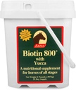 Biotin 800 Toz