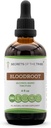 Tribe Bloodroot Alkol Tincture Extract, Responsibly farmed Bloodroot (Sanguinaria Canadensis) kıl Kök Tincture Supplement (4 fl oz)