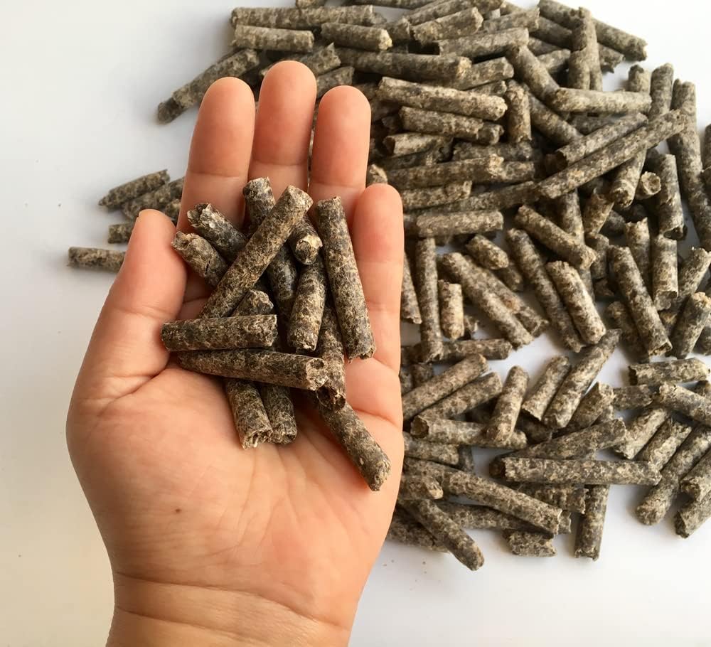 Smart Beet Pellets για τη διατροφή - άλογο, πόνι, κατσίκα, τροφή για βοοειδή - Καλό για την υγεία του εγκεφάλου και φυσικό γλυκαντικό (12 ουγγιά)