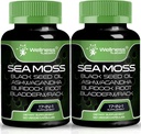 Irish Sea Moss Capsules, 17-in-1, Seamoss Black Seed Oil, 240 Count, Ashwagandha Burdock Root Organic Bladderwrack Capsules | Organic Sea Moss Advanced, Immune and Blood Pressure Support - 2 Pack