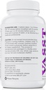 BELDT Laboratuvarları VASST Nitrik Oksit, N.O. Supplement with Over 3.000 mg of Arginine-AKG, OKG, GKG ve L-Argin HCL Kas Yapı ve Geliştirilen Vascularity - 90 Tabletler