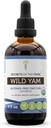 Tribe Wild Yam USDA Organik | Alkol Özgür Tür, Yüksek Lisans Herbal Drops, Digestion | %100 sertifikalı Organik Wild Yam (Diomarka Villosa) kuru Kök 4 oz