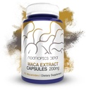 Maca Extract Capsules | 5% Macamides | Lepidium meyenii | Mood, Energy, and Vitality | 60 Count
