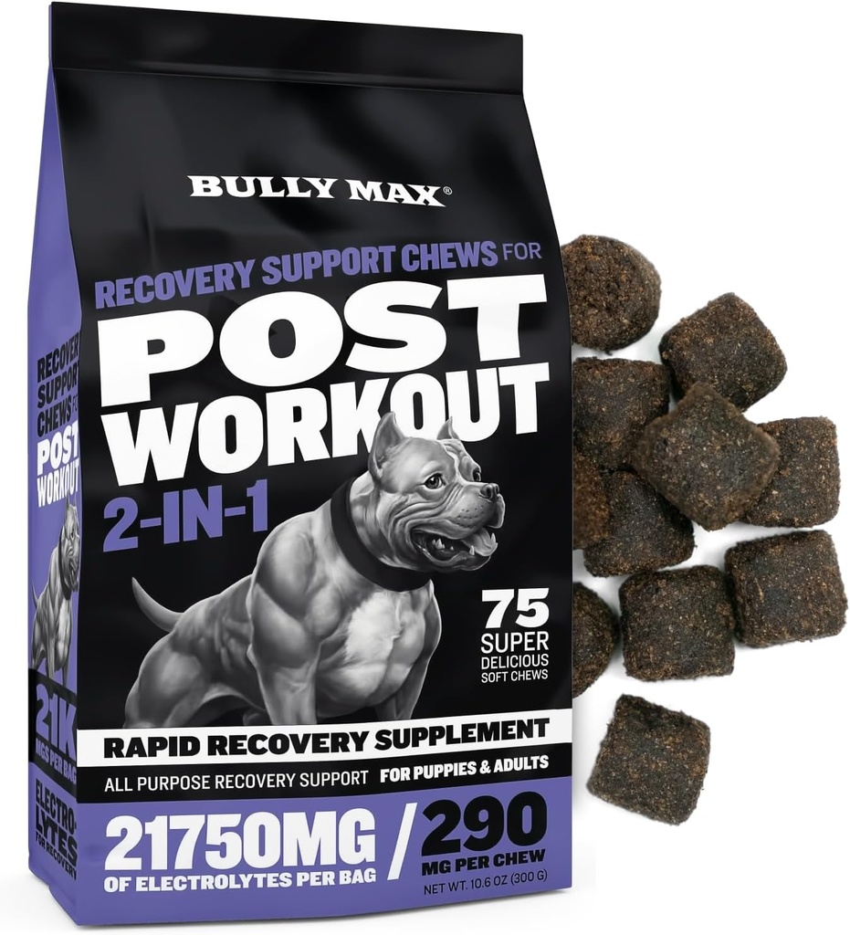 Bully Max 2in-1 Post-Workout Recovery Support Chews - Dog Vitamins and Food Supplement for Small & Large Breeds - Puppy and Adult Dog Hydration & Electrolyte Replenishment - 75 Soft and Tasty Chews