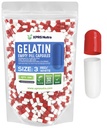 XPRS Nutra Μέγεθος 3 Κενές κάψουλες - 500 Count Empty Gelatin Κάψουλες - Χάπια DIY Καψάκιο Γέμισμα - Pure Bovine Pill Gel Caps for Do-It-Yourself Συμπληρώματα (Red/White)