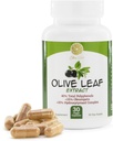 Olive Leaf Extract - 500 mg - Supplement Standardized to 25% Ol Europein -% 20 Hydroxytyrosol -% 40 Polyols - Non-GMO + Gluten Free + Dairy Free + Soy Free + Vegan (30 Capsules)