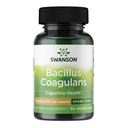 Swanson Bacillus Coagulans - Φυσικό συμπλήρωμα προβιοτικών που υποστηρίζει Digestive Health w/ 6 δισεκατομμύρια CFU - Μπορεί να υποστηρίξει GI & Γενική Υγεία Gut - (60 κάψουλες Veggie)