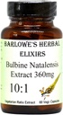 Barlowe's Herbal Elixirs Bulbine Natalensis | 10:1 Extract | 360 mg per Capsule | 60 Veggie Capsules | Glass | Stearate Free