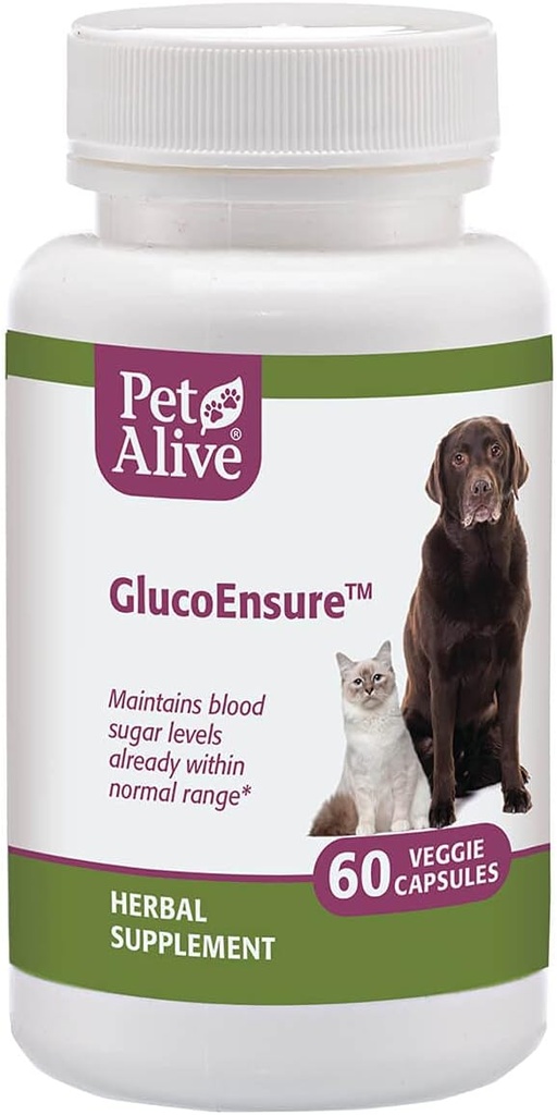 PetAlive GlucoEnsure - All Natural Herbal Supplement for maintaining Blood Sugar (Glucose) Levels Zaten Hayvanlardaki Normal Ortamlarda Normal Seviyelerde