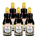 Resmi Distribütör - 5 Deris of Apiario Silvestre Brezilyalı Yeşil Arı Propolis Sıvı Glycolic Extract-Non Alkolic, Wax Free, Sugar Free (PG)
