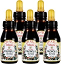 Resmi Distribütör - 5 Deris of Apiario Silvestre Brezilyalı Yeşil Arı Propolis Sıvı Glycolic Extract-Non Alkolic, Wax Free, Sugar Free (PG)