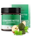 HERBAMAMA Nettle Gummies - 7500 mg Urinary Tract Support for Women & Men - Vegan, Non-GMO Urtica Dioica Supplement - 60 Pectin-Based Apple-Flavored Chews