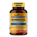 SANDHUHERBALS Sandhu Herbals Echinacea Goldenseal 1000 Mg 120 Κάψουλες 
